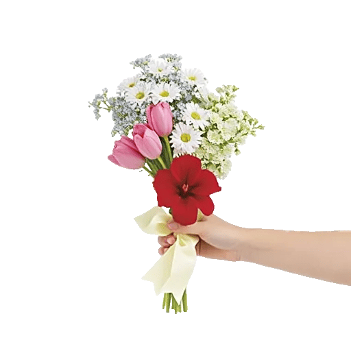 Blossom Petal Serenity