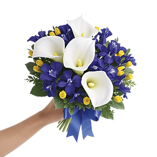 Elegant Calla Lilies