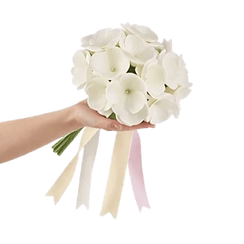 Ivory Blossom Radiance