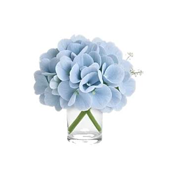 Sapphire Bloom Whisper