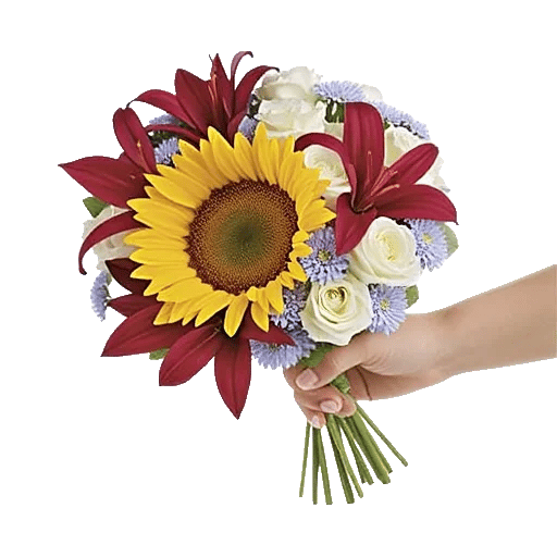 Twinkling Sunflower Dance