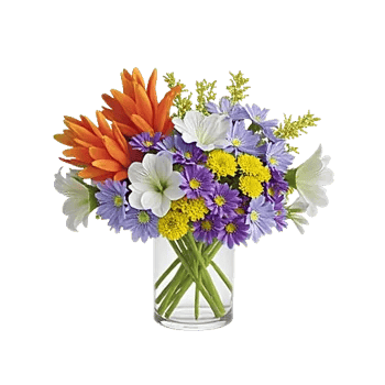 Petal Radiance Bliss