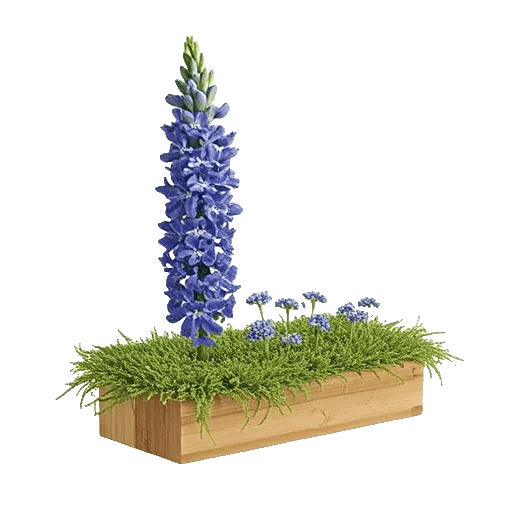 Sapphire Bloom Whisper