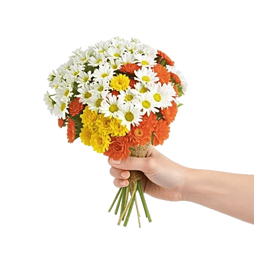 Delicate Petal Cascade