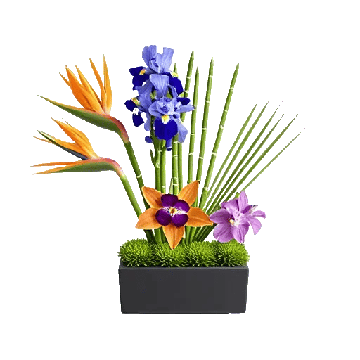 Minimalist White Orchids