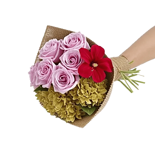 Rosemary Bloom Elegance