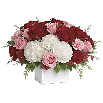 Delicate Petal Cascade