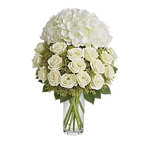 Ivory Blossom Radiance