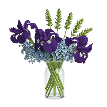 Ivory Blossom Radiance