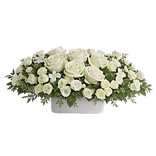 Minimalist White Orchids