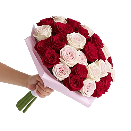 Crimson Rose Elegance