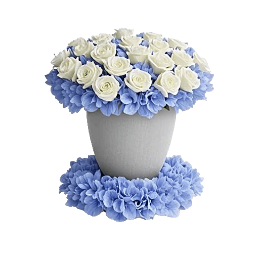 Elegant Blue Roses