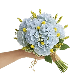 Serene Petal Harmony