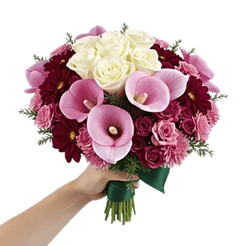 Elegant Calla Lilies