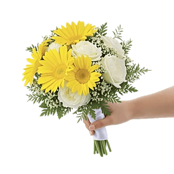 Enchanting Daisy Garden