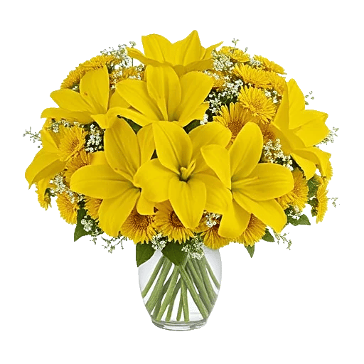 Graceful Lily Display