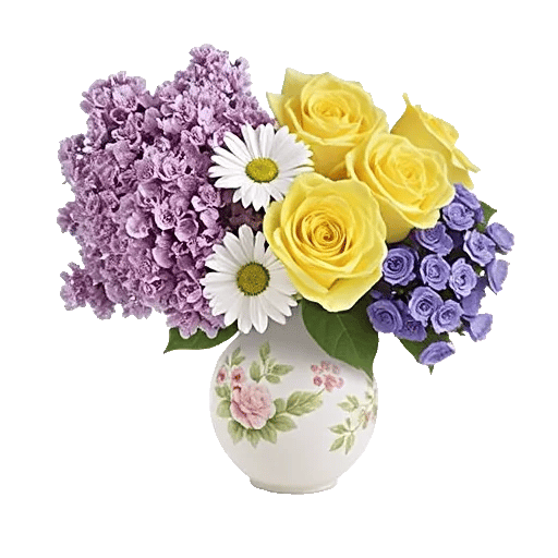 Ivory Blossom Radiance