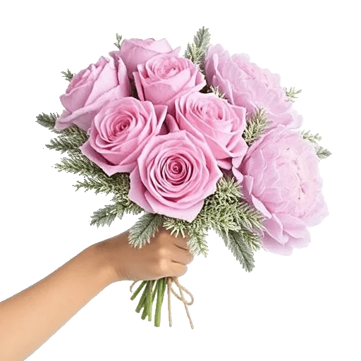 Pastel Pink Roses