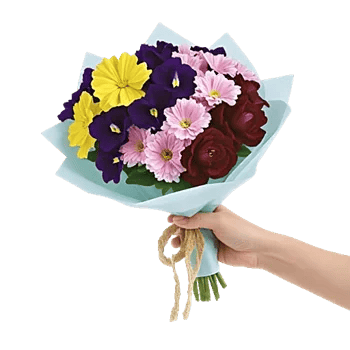 Blossom Petal Serenity