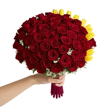 Crimson Rose Elegance