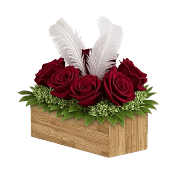 Radiant Rose Symphony