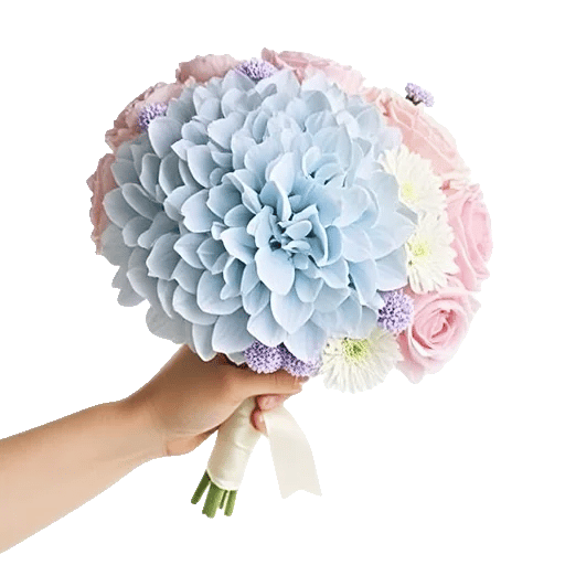 Serene Petal Harmony