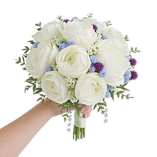 Ivory Blossom Radiance