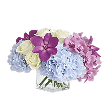 Orchid Bloom Cascade