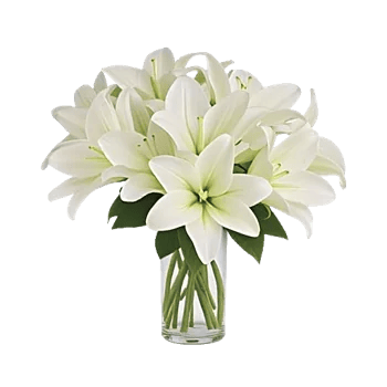 Graceful Lily Display