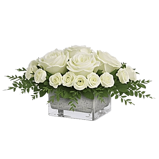 Delicate Petal Cascade