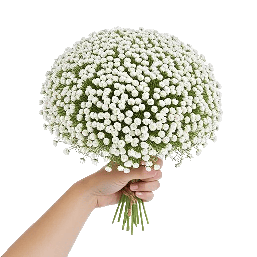 Blossom Radiant Whisper