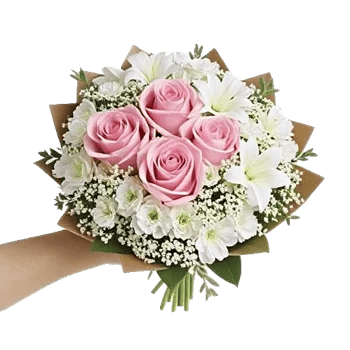 Blushing Rose Symphony