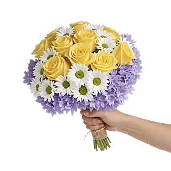 Blossom Harmony Display