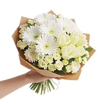 Blossom Harmony Display