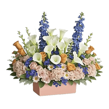 Graceful Lily Display