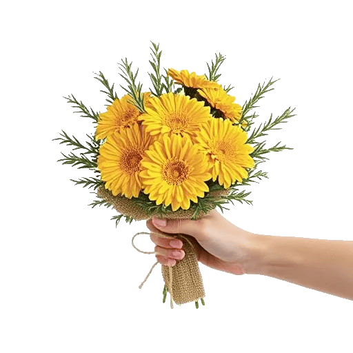 Golden Petal Harmony