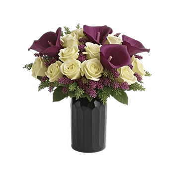 Elegant Calla Lilies