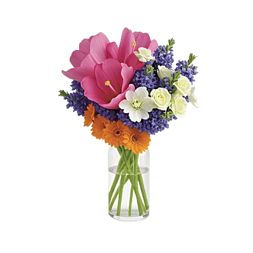 Ivory Blossom Radiance