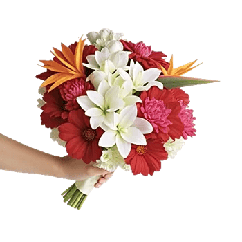 Modern White Orchids