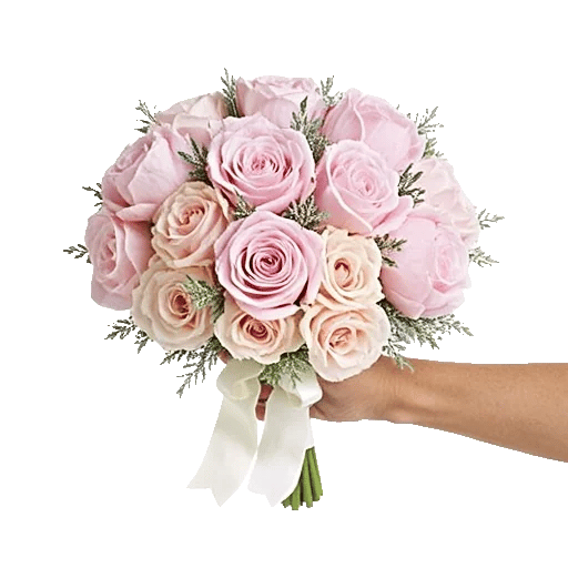 Pastel Pink Roses