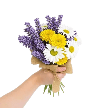 Lavender Bloom Grace