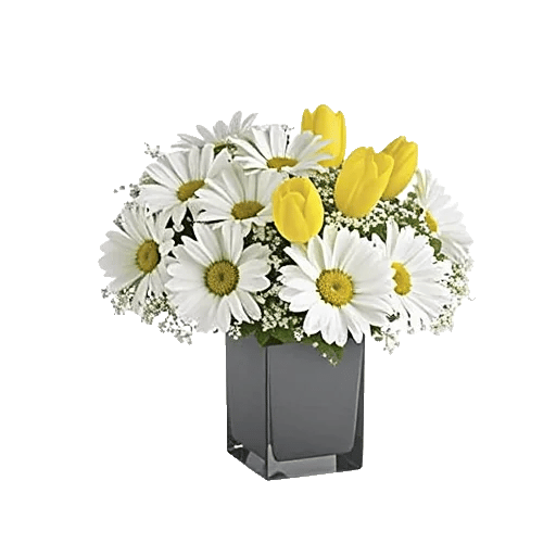 Ivory Blossom Radiance