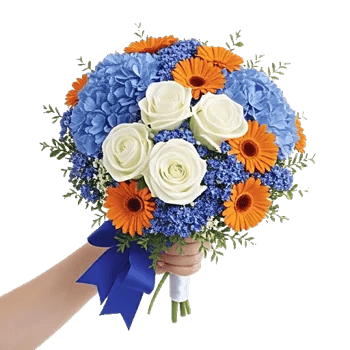 Serene Petal Harmony