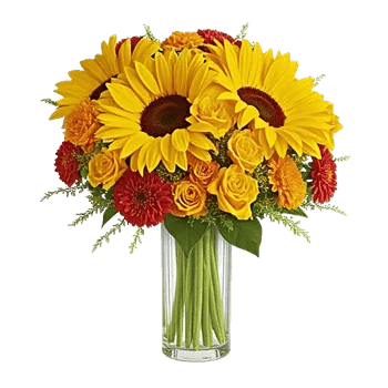 Golden Bloom Radiance