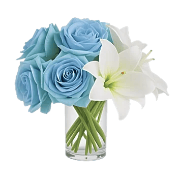 Elegant Blue Roses