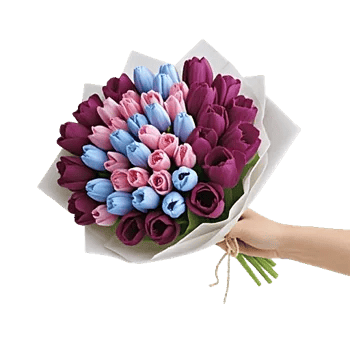 Velvet Tulip Display