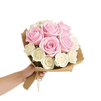 Pink Pastel Roses
