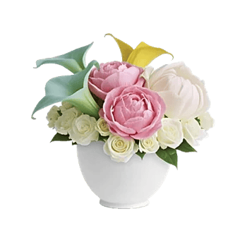 Elegant Calla Lilies