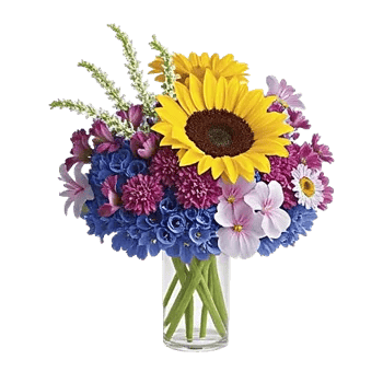 Radiant Bloom Cascade