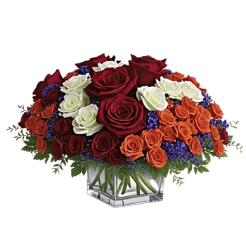 Radiant Rose Symphony